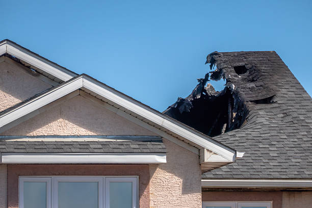 Top rated local Fire Damage Removal specialists in District of Columbia, DC